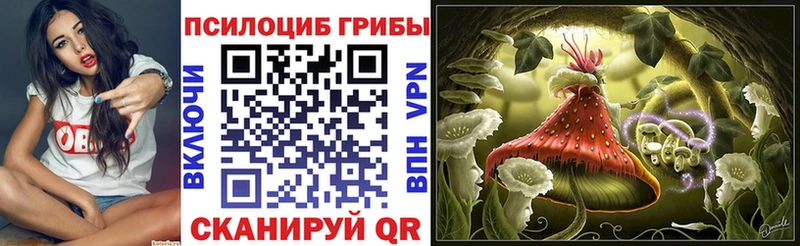 Галлюциногенные грибы MAGIC MUSHROOMS  Кувшиново 